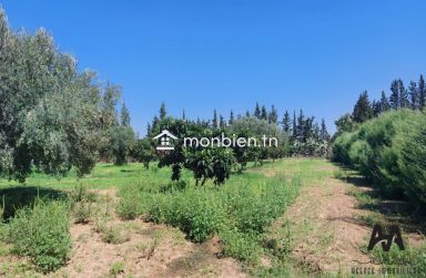 Terrain agricole de 71223m² à Mhadhba, Nabeul