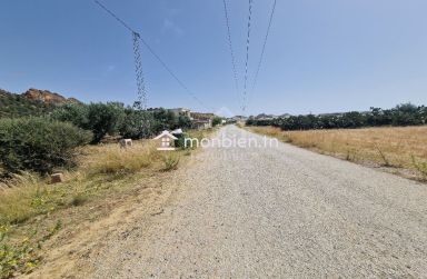 Lot de terrain de 200 m² à Hammamet Sud à vendre 51355351