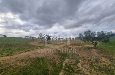 Terrain de 1 hectare à Hammamet sud à vendre 51355351