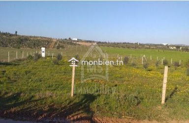 Terrain de 1000 m² à vendre à 85 MD à Hammamet Sud 51355351