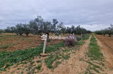 Terrain de 2740 m² à vendre à Hammamet Sud 51355351