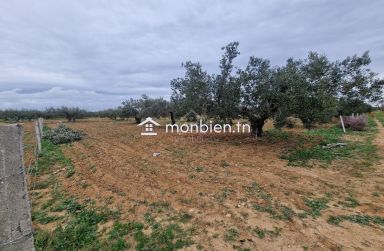 Terrain de 2740 m² à vendre à Hammamet Sud 51355351