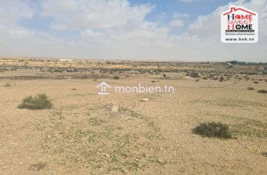 Terrain Agricole Serta à Vendre à Gafsa