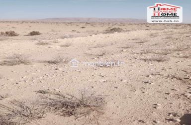 Terrain Agricole Pistachio à Vendre à Gafsa