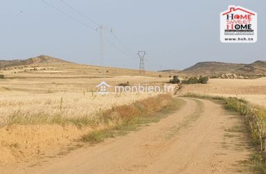 Terrain Agricole Les Collines à Vendre à Zaghouan