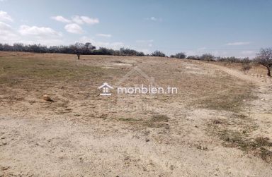 Terrain de 2800 m² à Hammamet Sud à vendre 51355351