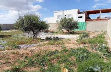 Terrain clôturé de 687 m² à vendre à 125 MD à Hammamet Sud 51355351