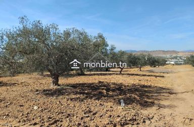 Un terrain de 1688 m² à vendre à Hammamet sud 51355351