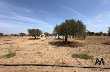 Terrain agricole de 57000m² à Boulidine Korba, Nabeul