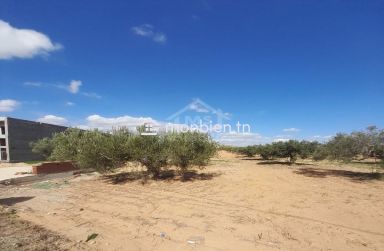 Lot de terrain de 200 m²  sur la route principale à Hammamet Sud à vendre 51355351