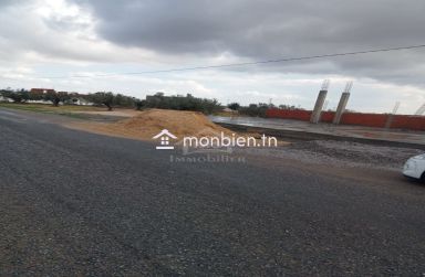 Un terrain de 200 m² à Hammamet Sud à vendre à 35 MD 51355351