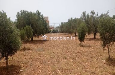 Terrain de 4800 m² à vendre à Sidi Mtir 51355351