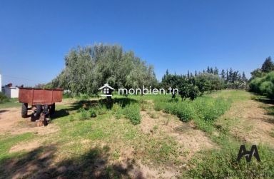 Terrain agricole de 71223m² à Mhadhba, Nabeul