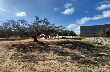 Terrain de 200 m² sur la route principale à Hammamet Sud à vendre 51355351