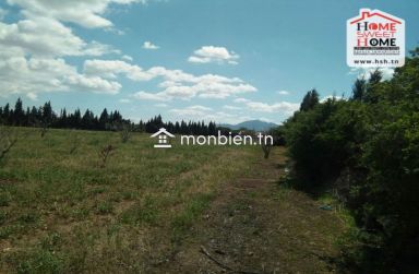 Ferme Le Parc des Cèdres à Vendre à Morneg