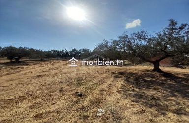 Lot de terrain de 200 m²  sur la route principale à Hammamet Sud à vendre 51355351