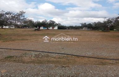 Un terrain de 200 m² à Hammamet Sud à vendre à 35 MD 51355351