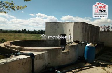 Ferme Le Parc des Cèdres à Vendre à Morneg