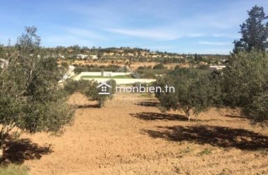 Terrain de 2500 m² à vendre à 270 MD à Hammamet Sud 51355351