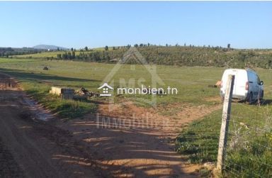 Terrain de 1000 m² à vendre à 85 MD à Hammamet Sud 51355351