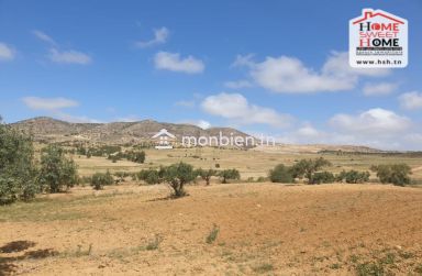 Terrain Agricole Les Collines à Vendre à Zaghouan