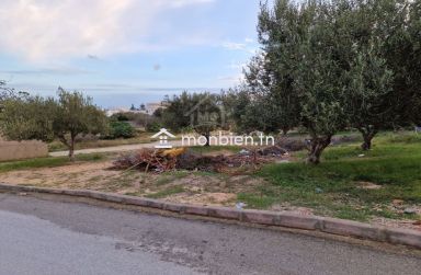 Terrain clôturé de 1122 m² à vendre à Hammamet Nord 51355351