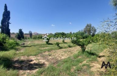 Terrain agricole de 71223m² à Mhadhba, Nabeul