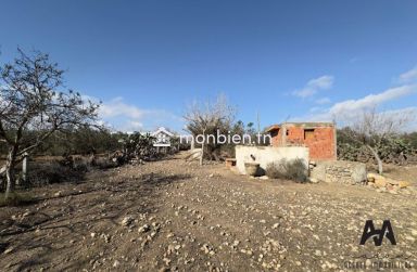 Terrain agricole de 2664m² à Dharoufa, Nabeul