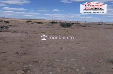 Terrain Agricole Louza à Vendre à EL Fajja Gafsa