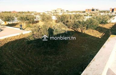 Un terrain de 2100 m² avec 1 studio à Hammamet Sud à vendre 51355351