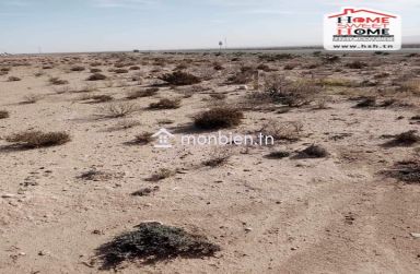 Terrain Agricole Pistachio à Vendre à Gafsa