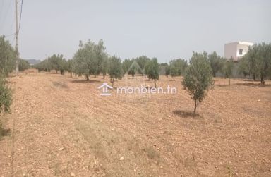 Terrain de 4800 m² à vendre à Sidi Mtir 51355351