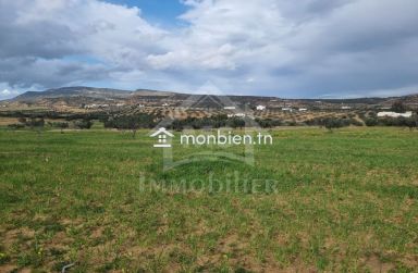 Terrain de 1 hectare à Hammamet sud à vendre 51355351