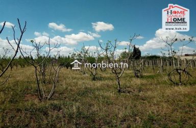 Ferme Le Parc des Cèdres à Vendre à Morneg