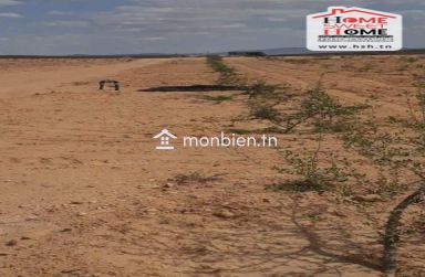 Terrain Agricole Louza à Vendre à EL Fajja Gafsa