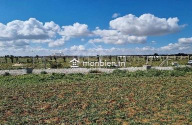 Terrain clôturé de 1000 m² à vendre à 110 MD à Hammamet Sud 51355351