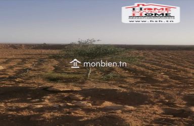 Terrain Agricole Abassisse à Vendre à Gafsa