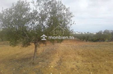 Terrain de 1000 m² à Hammamet Sud à vendre 51355351