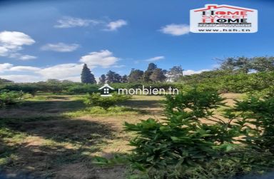 Ferme Rommana à Vendre à Sawnin, Ras Jbal, Bizerte