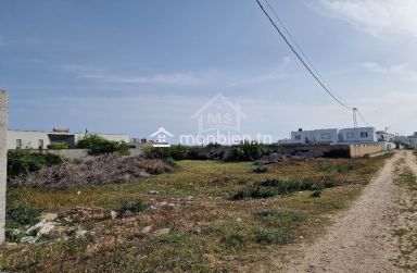 Un terrain de 650 m² dans la zone de Sidi Mahressi à vendre 51355351