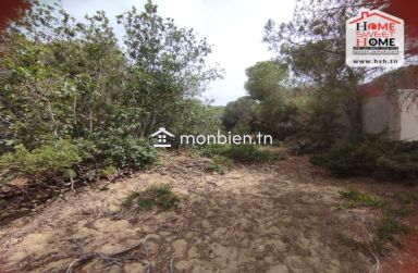 Terrain Promoteur Marah à Vendre à Bizerte Corniche