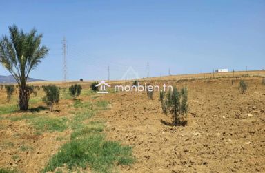 6.5 hectares avec une maison à vendre à Hammamet Sud 51355351