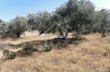 Terrain de 500 m² à vendre à Birbouragba 51355351