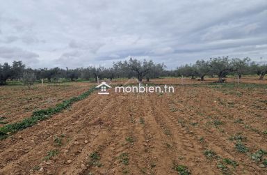 Terrain de 2740 m² à vendre à Hammamet Sud 51355351