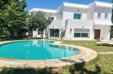 Location estivale: Villa avec piscine à louer 51355351