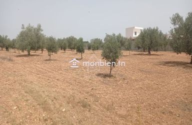 Terrain de 4800 m² à vendre à Sidi Mtir 51355351