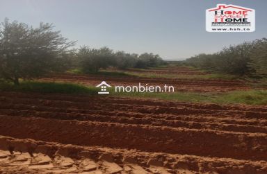 Terrain Agricole Aiinabi à Vendre à Gafsa