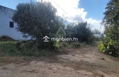 2 lots de terrain à vendre à Hammamet à 550 dt/m² 51355351