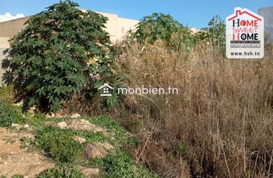 Terrain de Villa Janen à Vendre à Raoued Plage