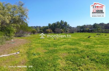 Immeuble EL Bakht à Vendre à La Marsa Ville